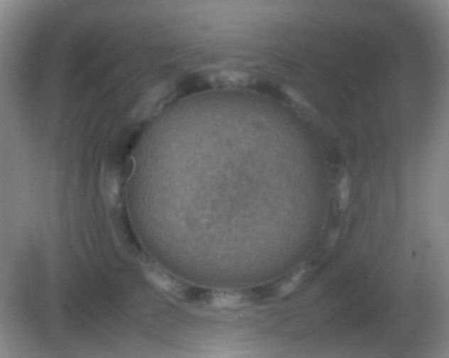 X0000082990709200702011429