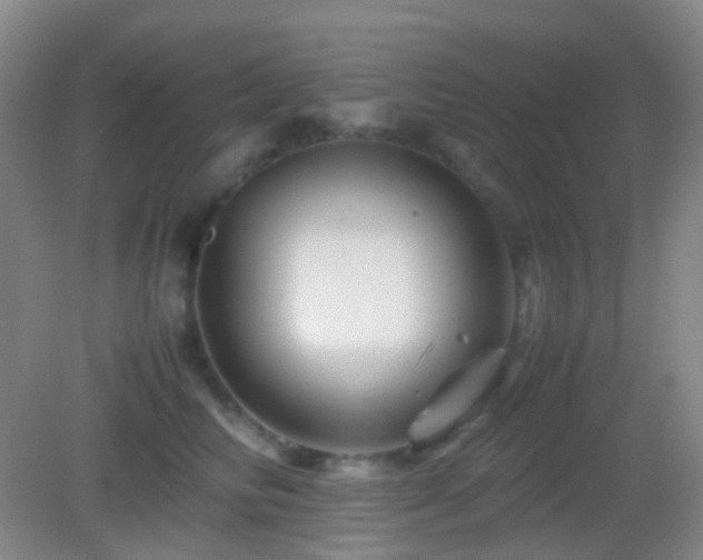 X0000082990710200702011429