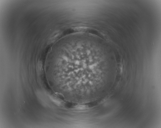 X0000082990711200702011429