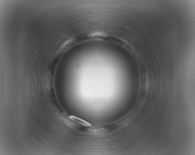 X0000082990712200702011429