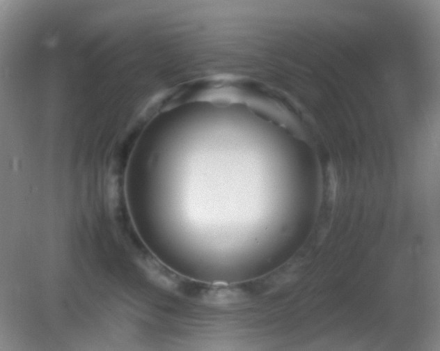 X0000082990716200702011429