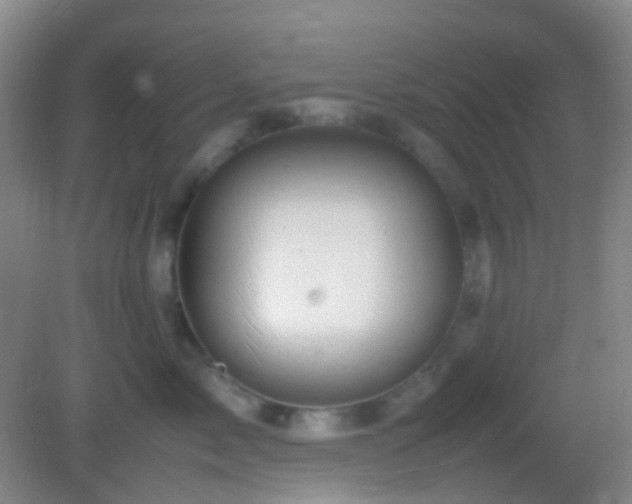 X0000082990717200702011429