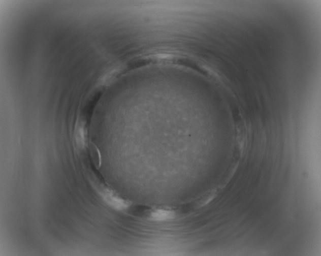 X0000082990718200702011429