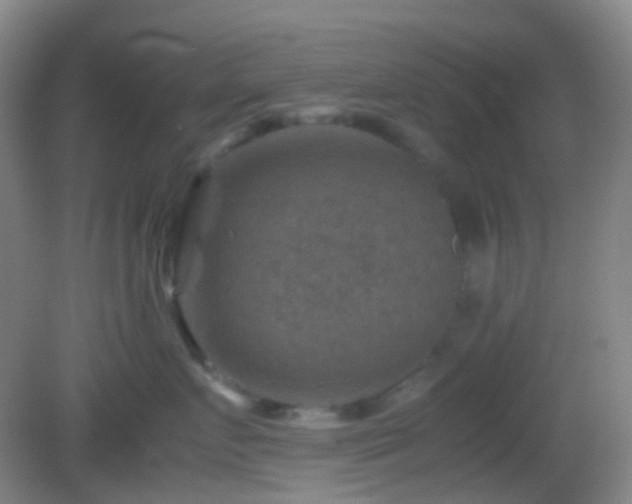 X0000082990719200702011429