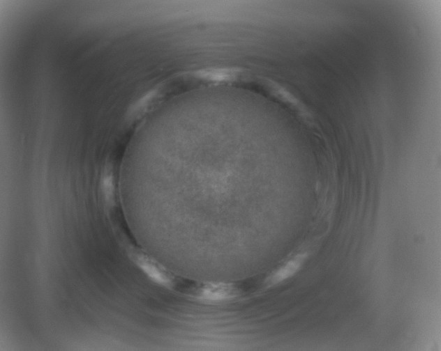 X0000082990720200702011429