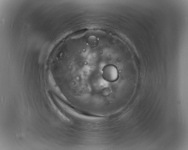 X0000082990721200702011428