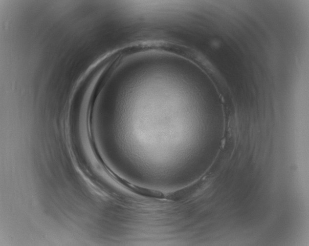 X0000082990722200702011428