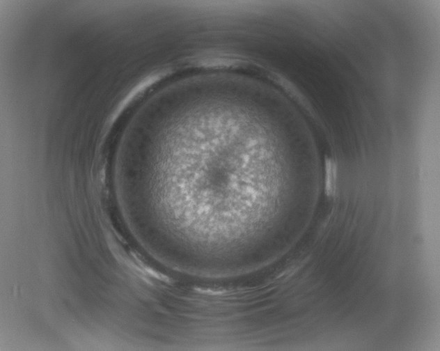 X0000082990723200702011428