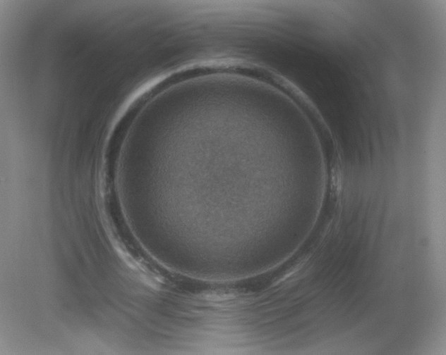 X0000082990724200702011428