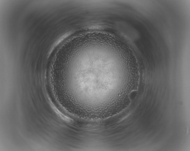 X0000082990725200702011428