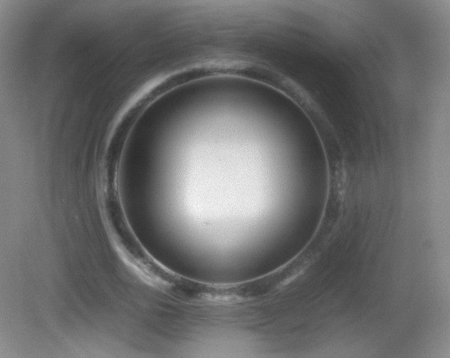 X0000082990726200702011428