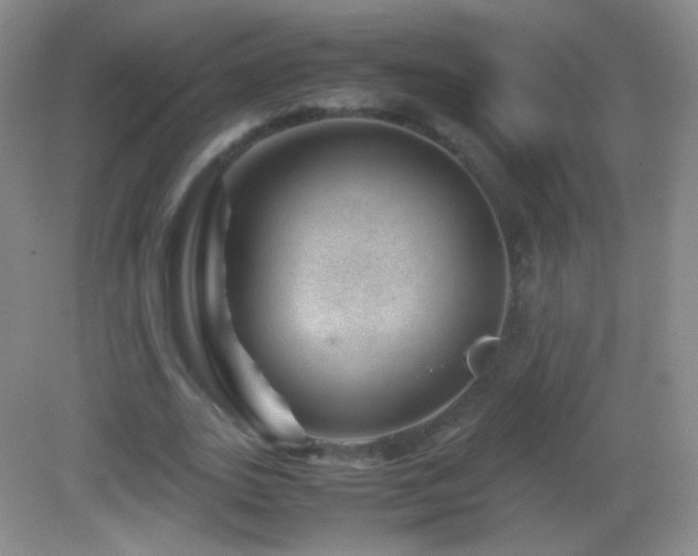 X0000082990727200702011428