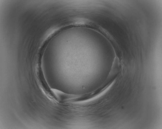 X0000082990728200702011428