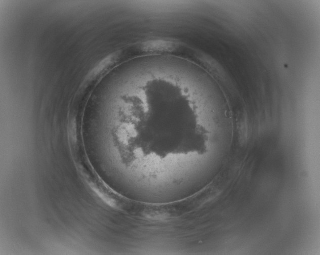 X0000082990729200702011428