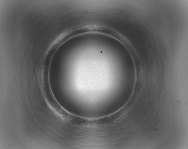 X0000082990730200702011428