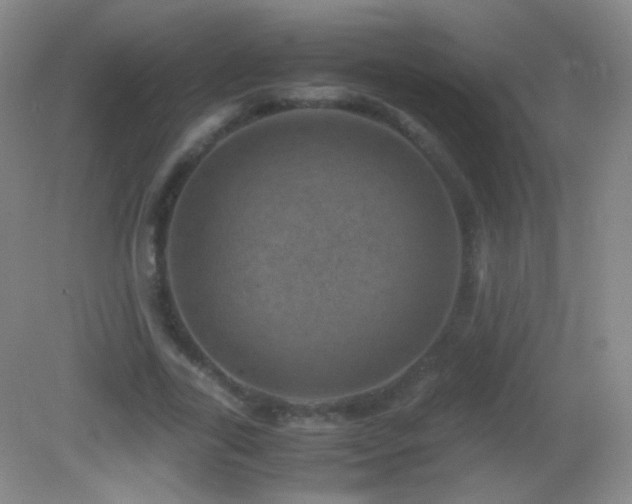 X0000082990731200702011428