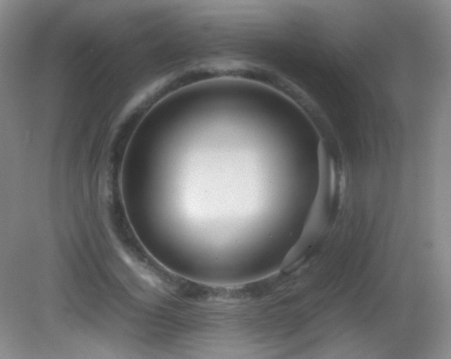 X0000082990732200702011428