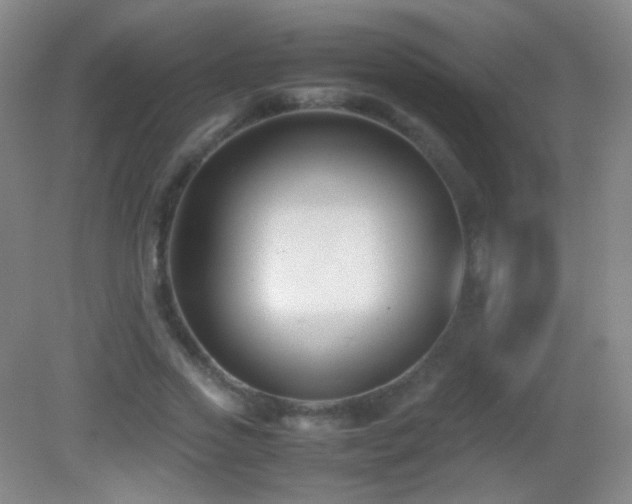 X0000082990733200702011428