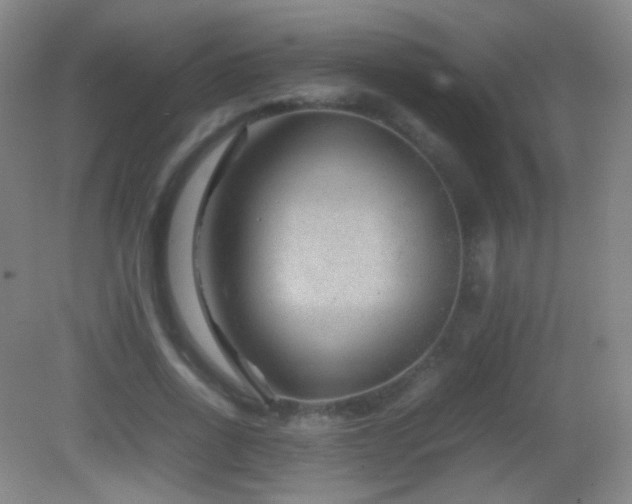 X0000082990734200702011428