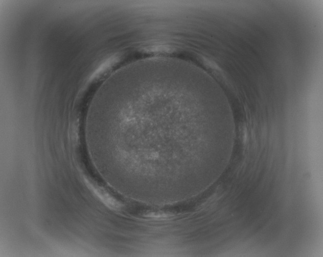 X0000082990735200702011428