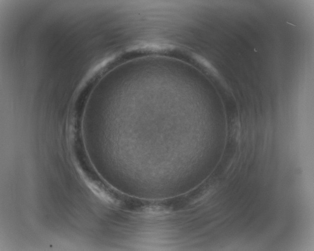 X0000082990736200702011428