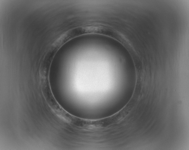 X0000082990737200702011428