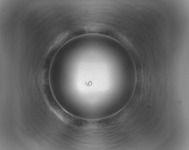 X0000082990738200702011428