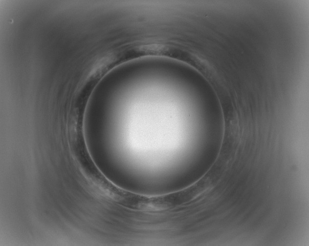 X0000082990739200702011428