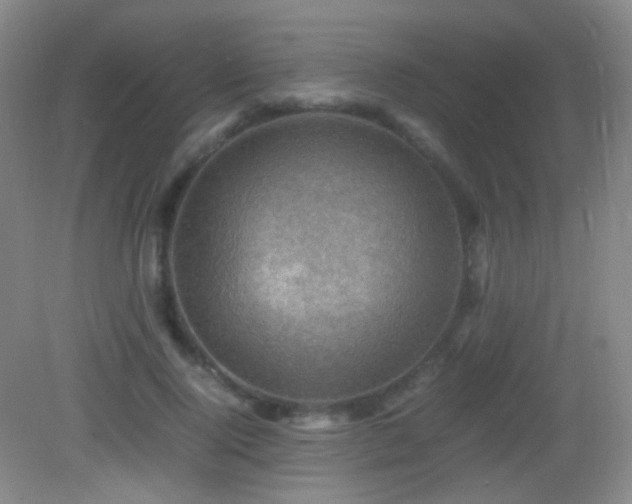 X0000082990740200702011428