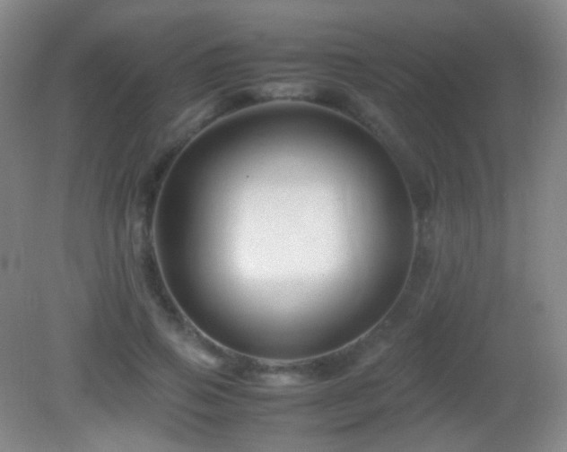 X0000082990741200702011428