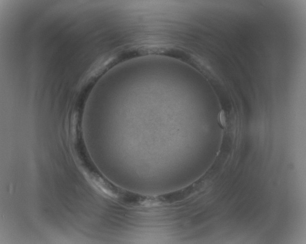 X0000082990742200702011428