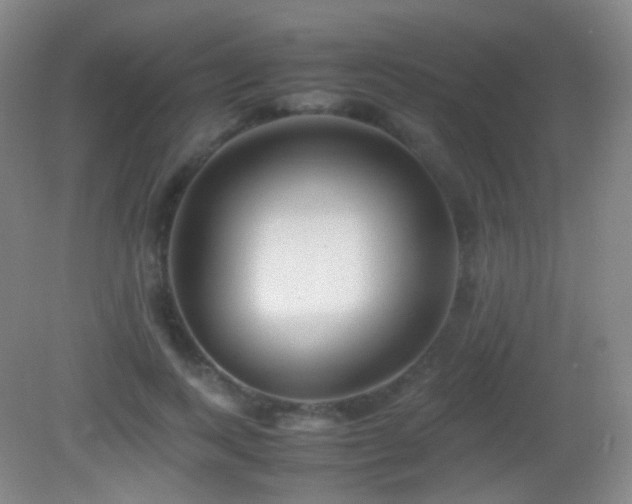 X0000082990743200702011428