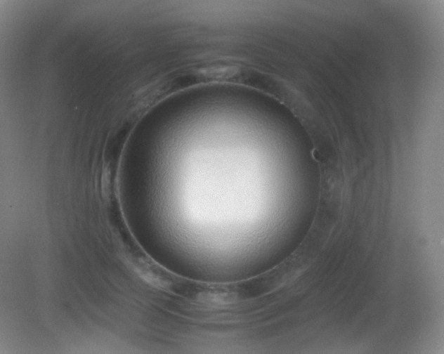 X0000082990745200702011428