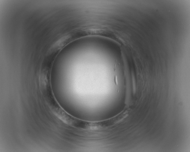 X0000082990746200702011428