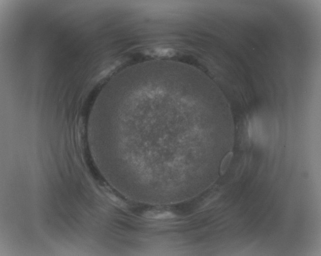 X0000082990747200702011428