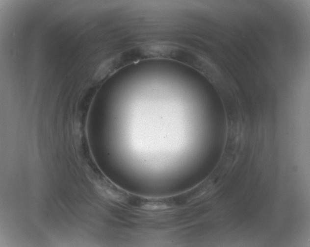 X0000082990749200702011428