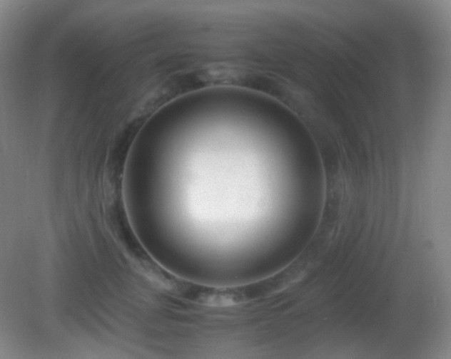 X0000082990751200702011428