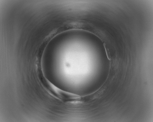 X0000082990752200702011428