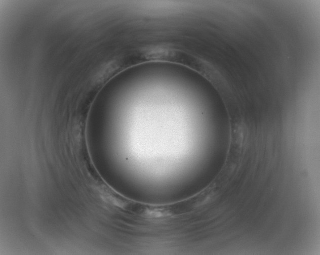 X0000082990753200702011429