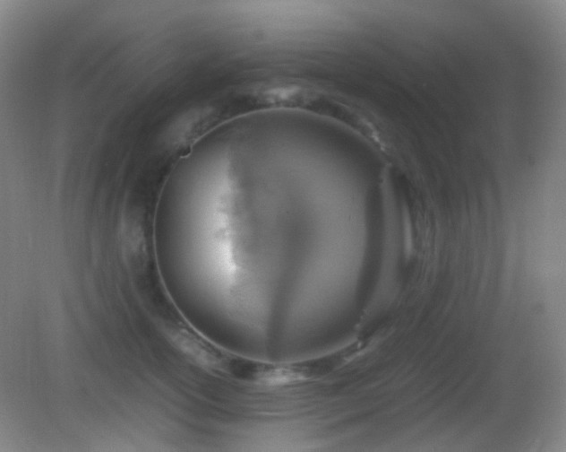 X0000082990754200702011429