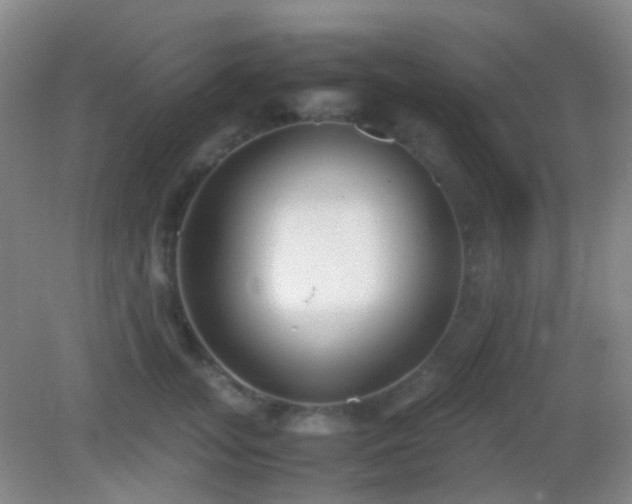 X0000082990755200702011429