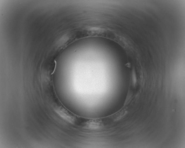 X0000082990756200702011429