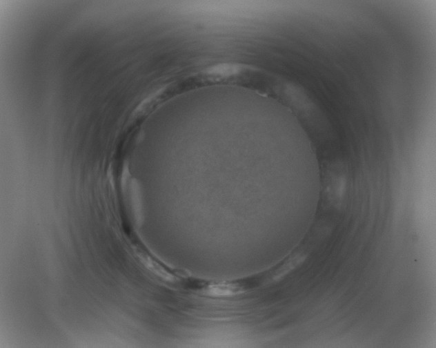 X0000082990758200702011429