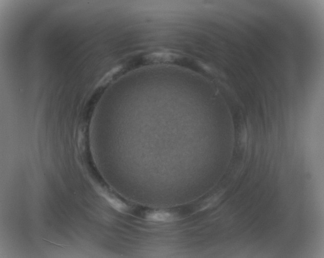 X0000082990759200702011429