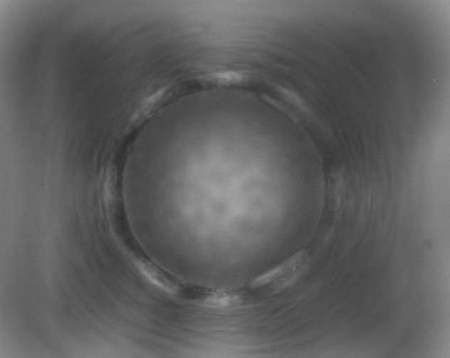 X0000082990760200702011429