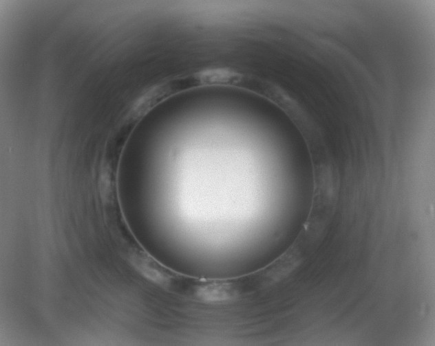 X0000082990761200702011429