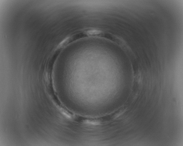 X0000082990763200702011429