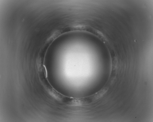 X0000082990764200702011429