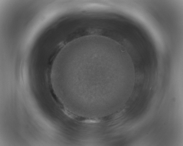 X0000082990765200702011429