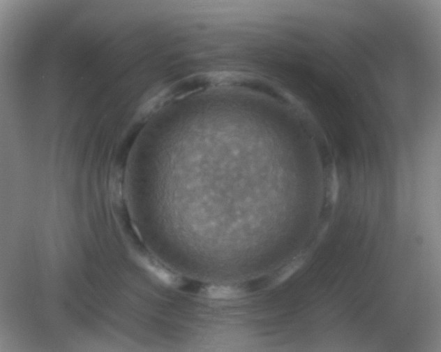 X0000082990766200702011429